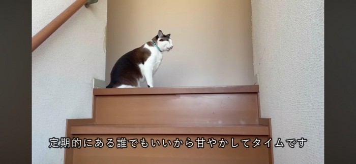 飼い主さんを案内するじんちゃん