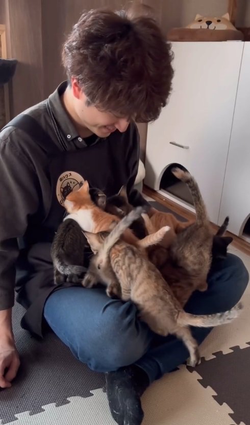 座る男性と子猫たち