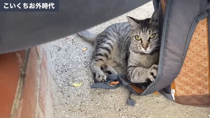 お外時代