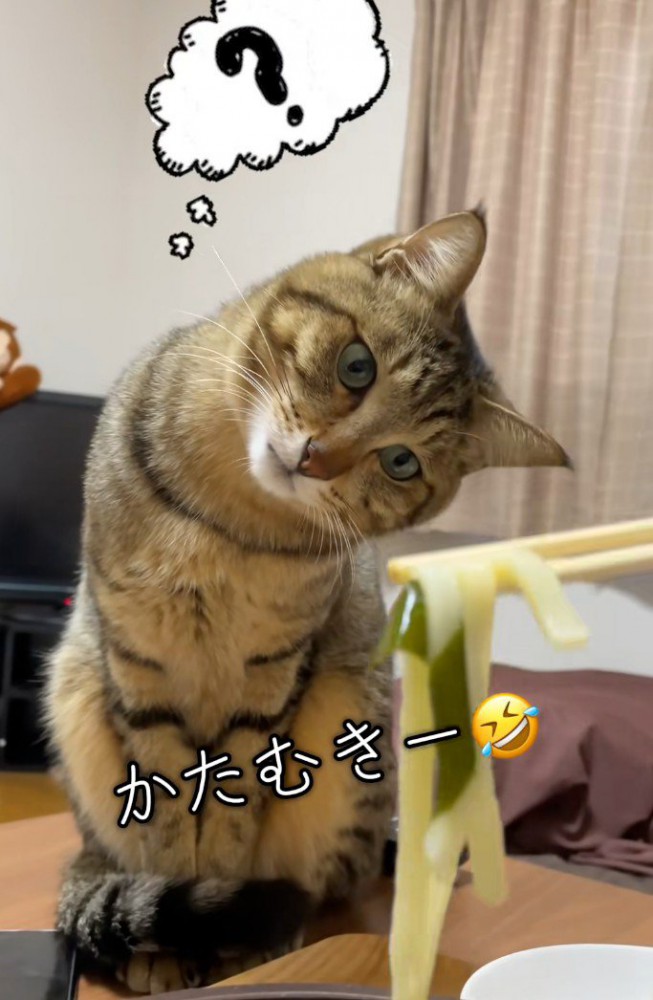 ？マークの写真