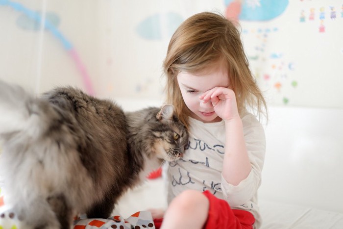 泣いてる子供と寄り添う猫