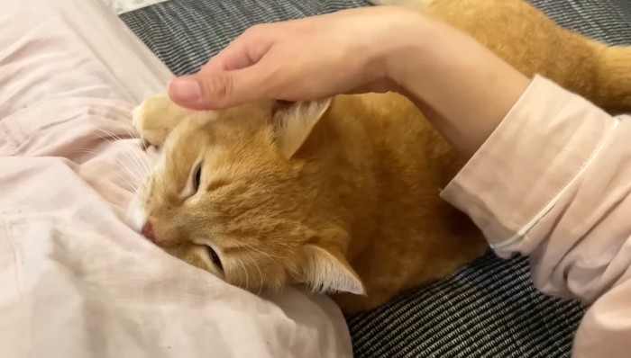 目を細めて
