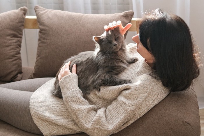 泣いてる子に寄り添う猫