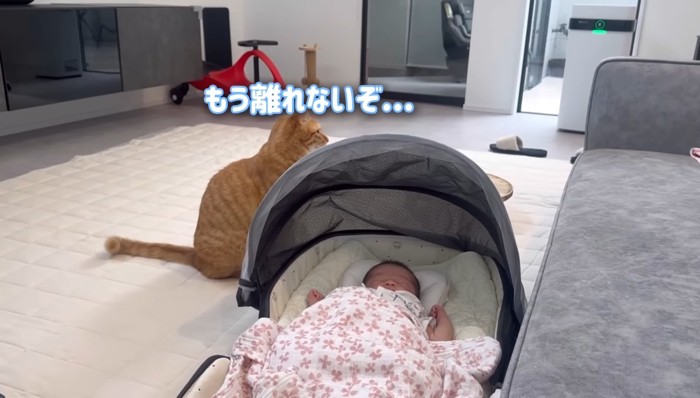 もう離れないぞ…