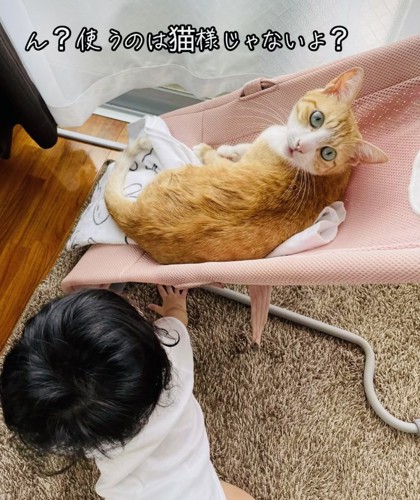 椅子でくつろぐ茶白猫とその様子を見る赤ちゃん