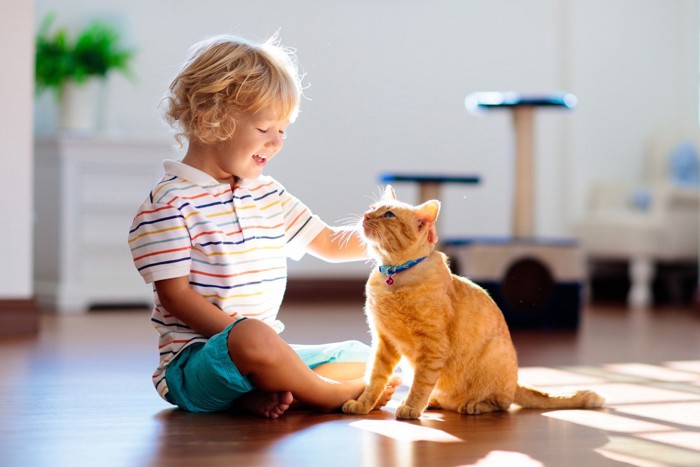 見つめあう猫と子ども