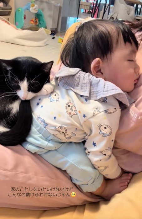 飼い主さんの膝の上で寝ている赤ちゃんに乗っかっている猫