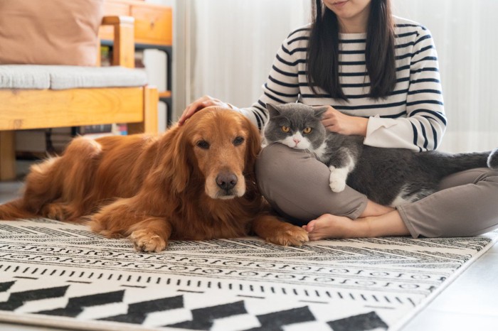 飼い主に甘える犬と猫