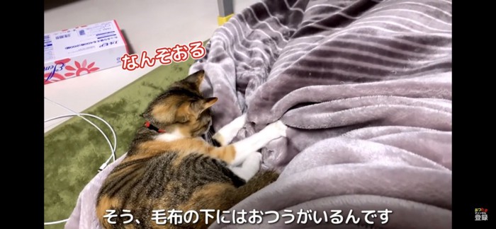 おつうちゃんがいる