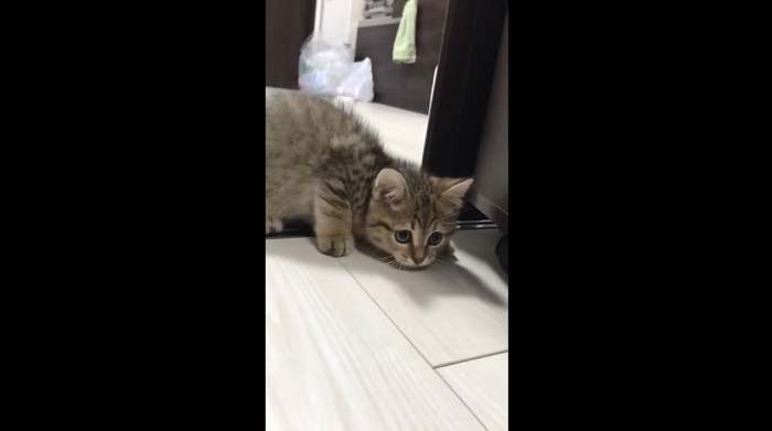 身を低く