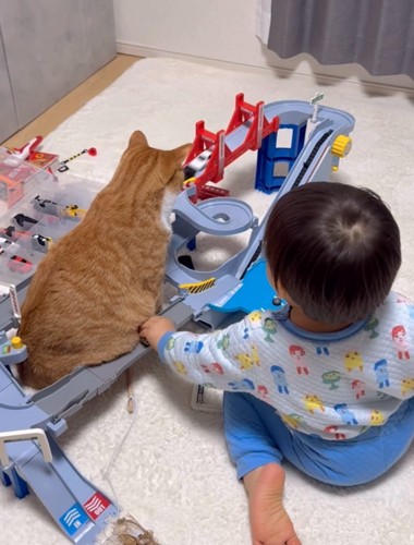 頂上へと到着する車