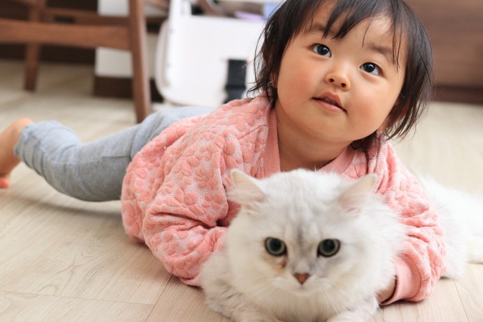 猫と子ども
