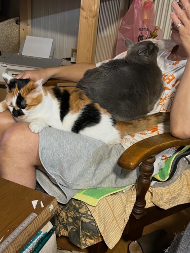 男性と猫