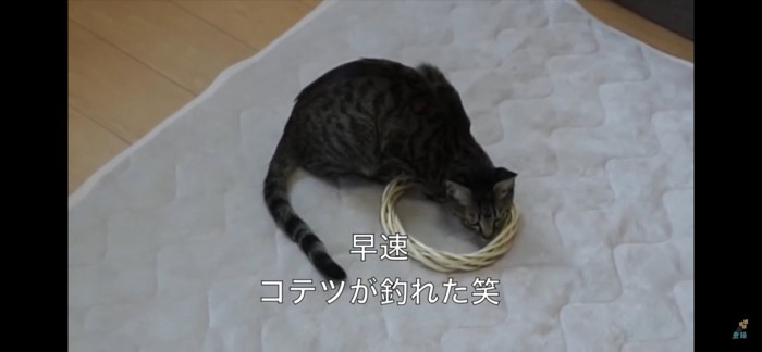 釣れる