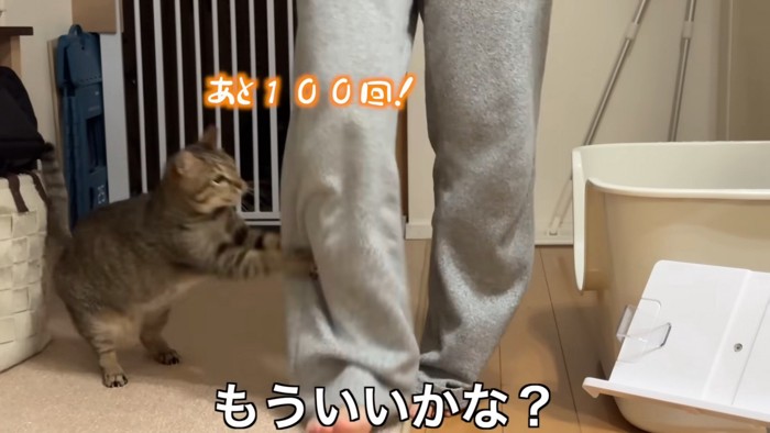 抱きつくうーちゃん