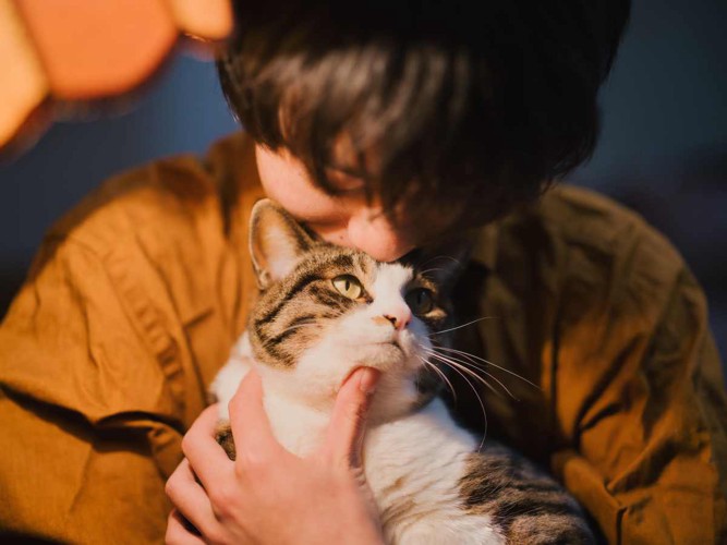 飼い主さんに抱っこされる猫