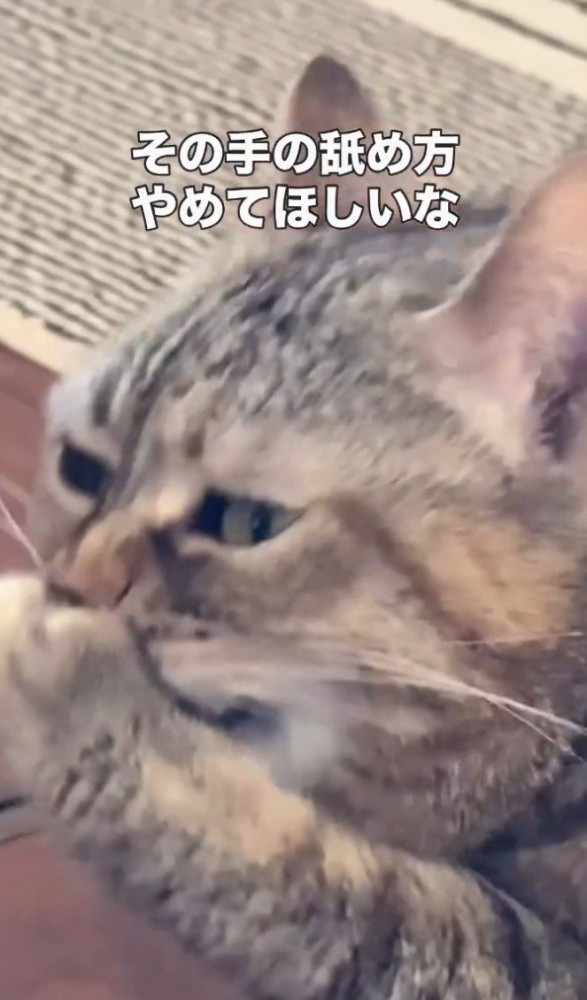 「その手の~」と書かれた写真2