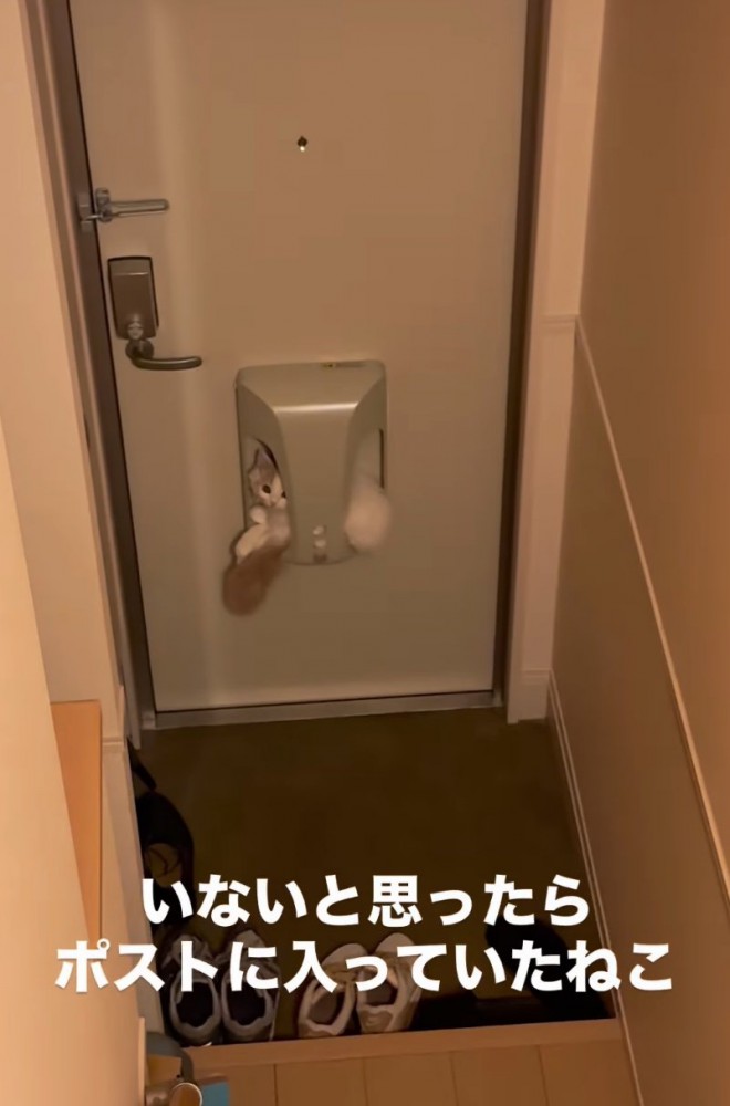 郵便ポスト