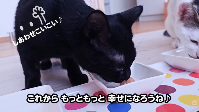 テロップ「これからもっともっと～」