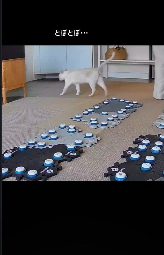 部屋の隅へ歩いていく猫