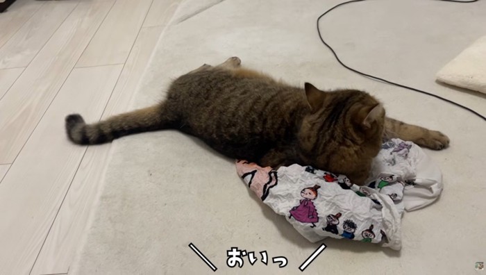 エコバッグの上で寝そべっている猫