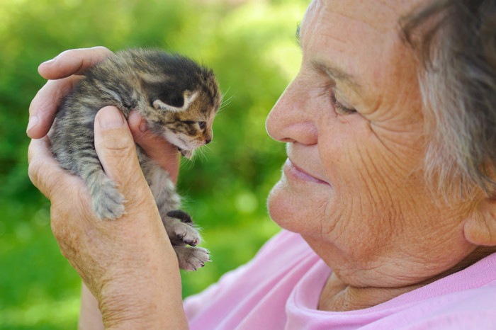 高齢の女性と猫