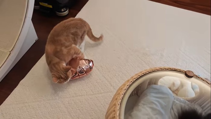 飾りを盗み中