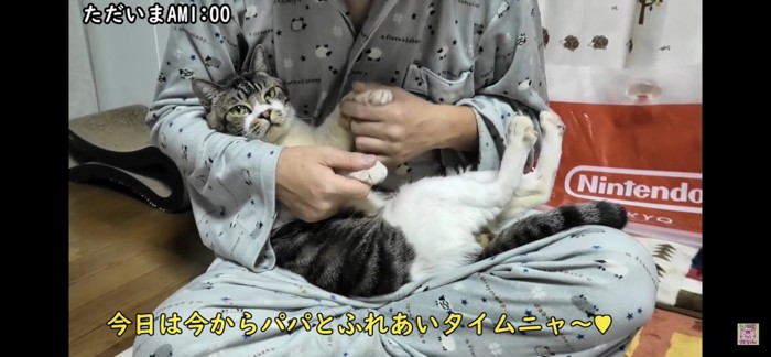 抱っこされる猫