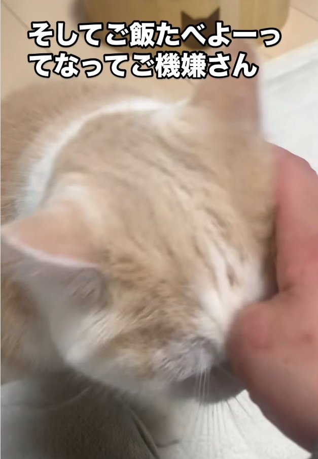 スリスリするぽっぷちゃん