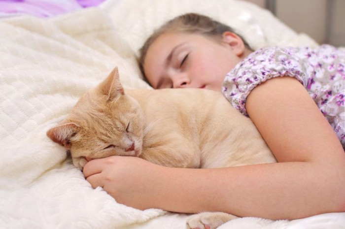 子どもと寝る猫