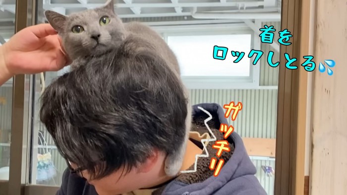 人の首を前足をおさえる猫