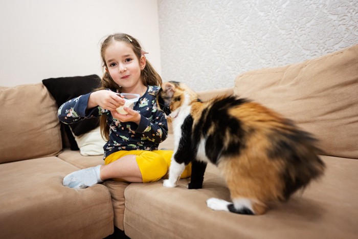 ヨーグルトを食べる少女に近づく猫