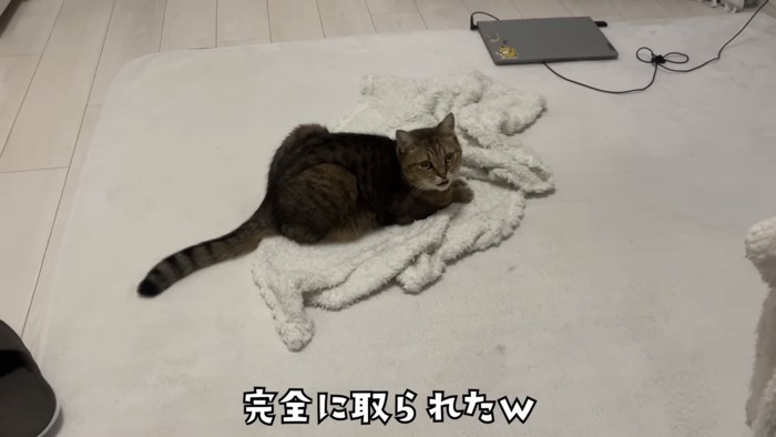 「完全に取られたｗ」のテロップ写真