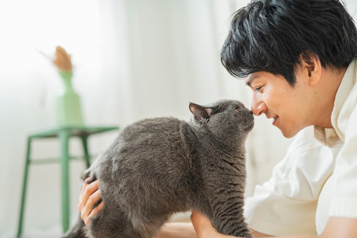 男性と仲良しな猫