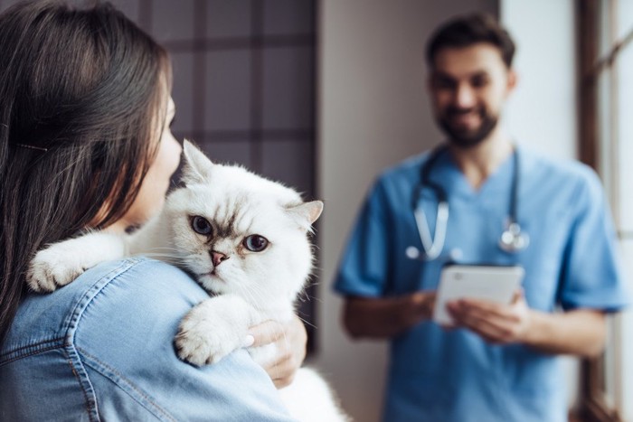 病院で飼い主に抱っこされる白猫