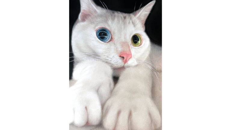猫の絵