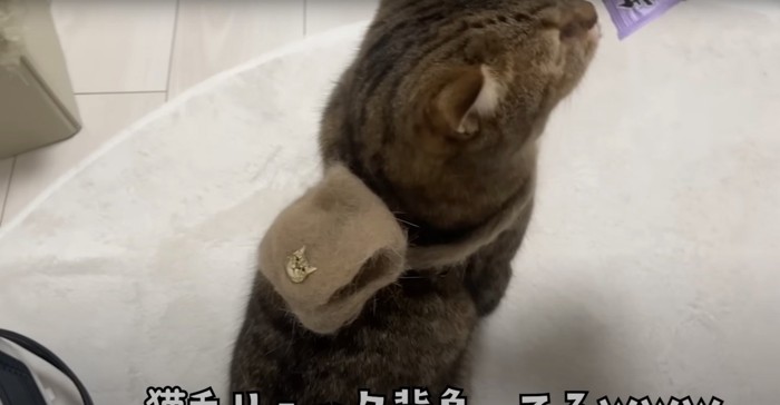 リュックを背負うみにらくん