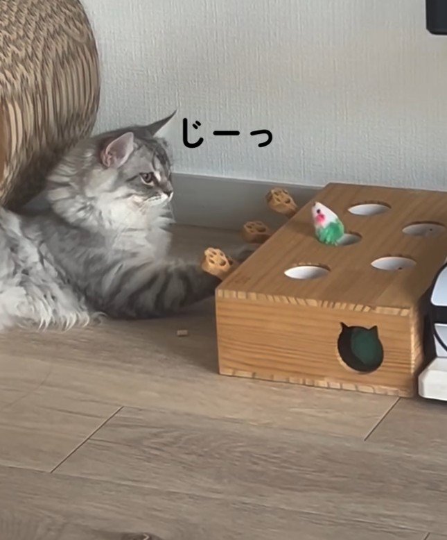「じー」と書かれた写真