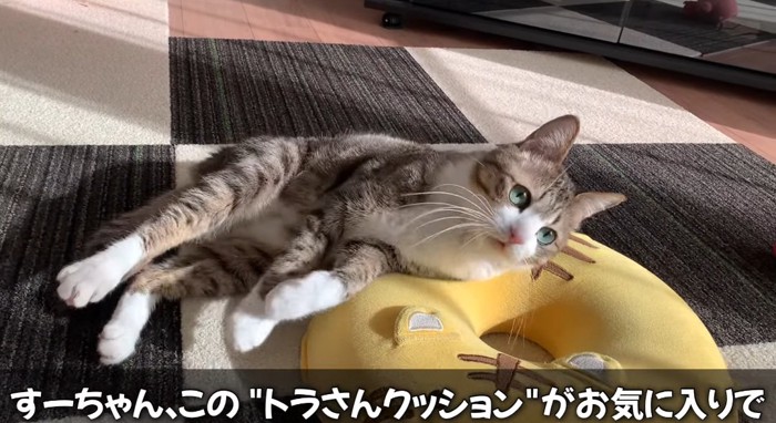 くつろぐ猫