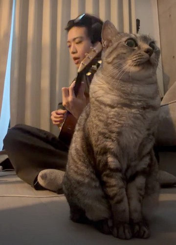 男性の手前で演奏を聴く猫2