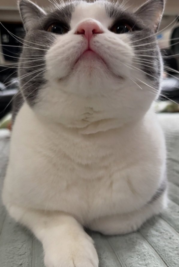 座るそらくん