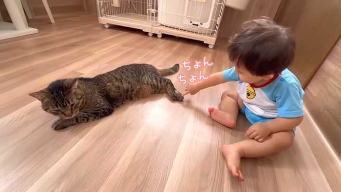 ちょんちょん