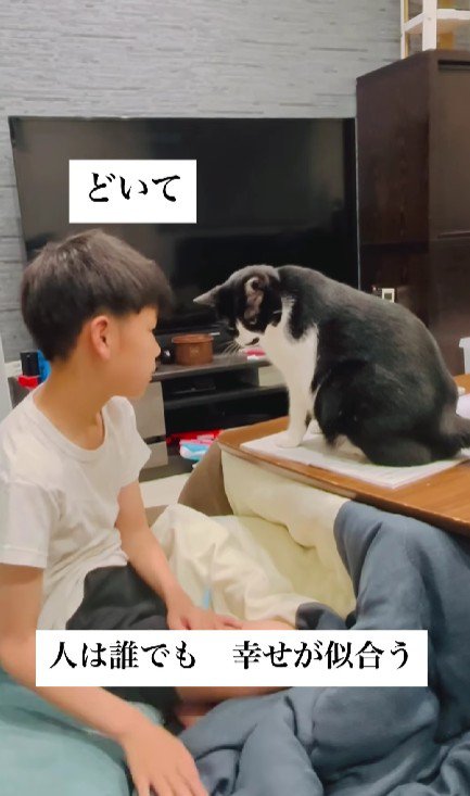 宿題の邪魔をする猫