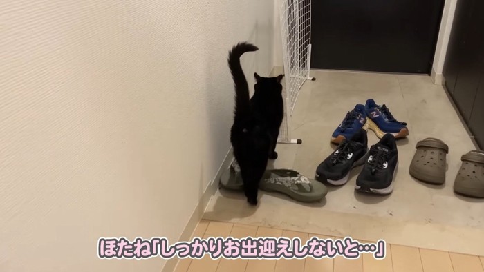しっかりお出迎えしないと…