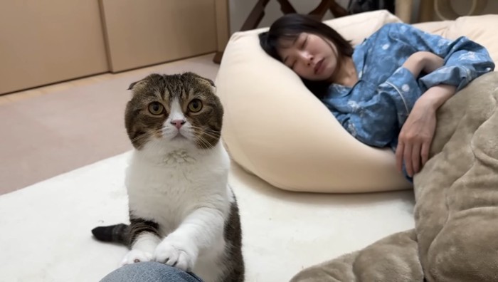 膝に前足を置いて