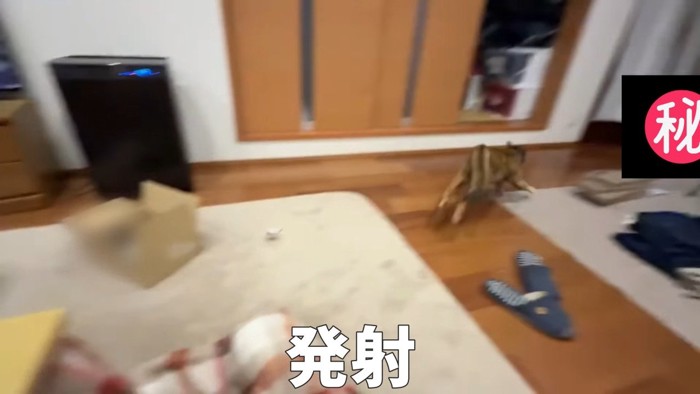 発射
