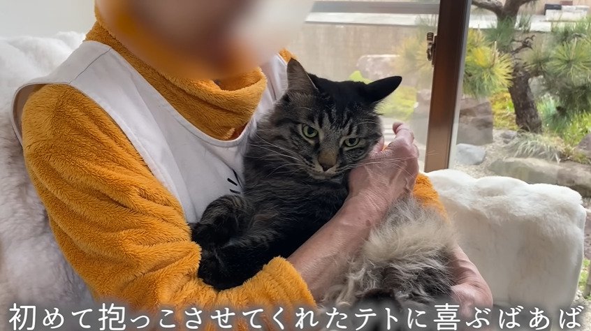 ばあばに抱っこされる猫