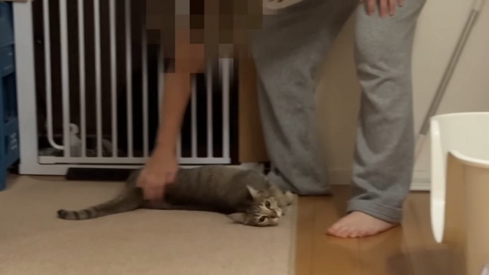 何度もなでてもらううーちゃん