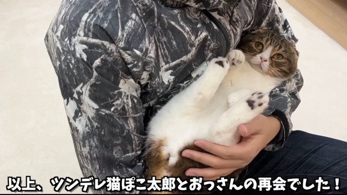 抱っこされる猫