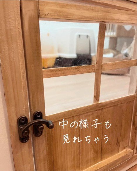 キャットドアの窓
